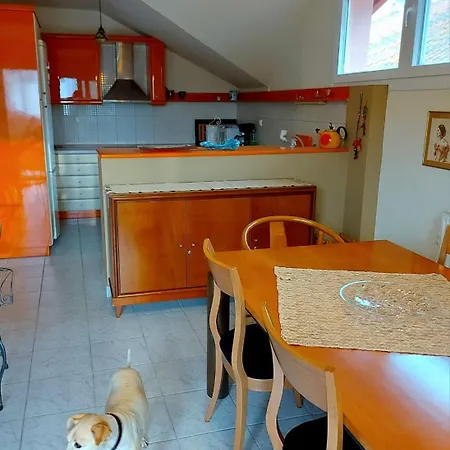 Rosa's House Vromerí