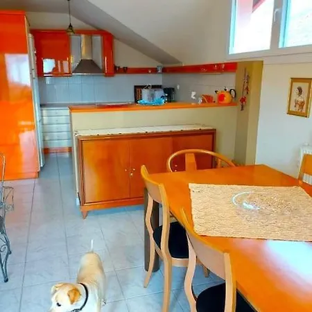 Rosa's House *